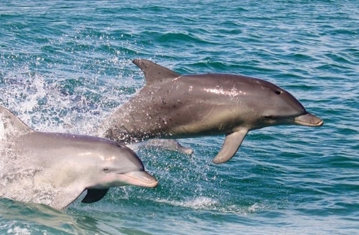 Things To Do In Mandurah